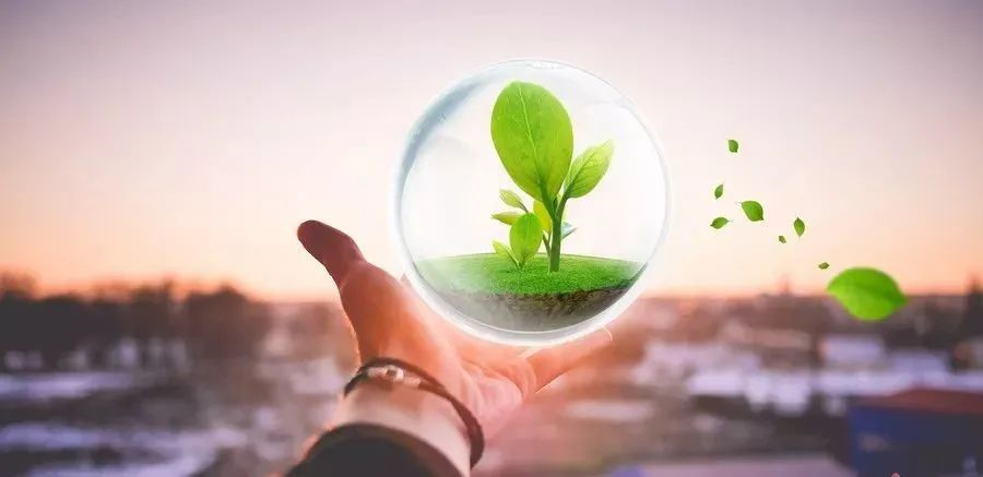 凱創(chuàng)感染類疾病診斷的三大利器:CRP、SAA和PCT