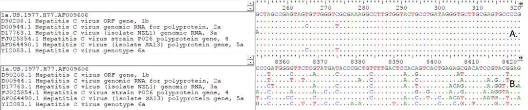 A.5’端非編碼區(qū)序列；B.NS5序列